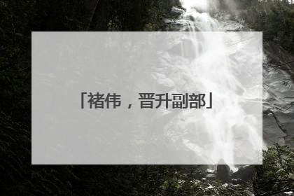 褚伟，晋升副部