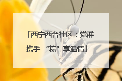 西宁西台社区：党群携手 “粽”享温情