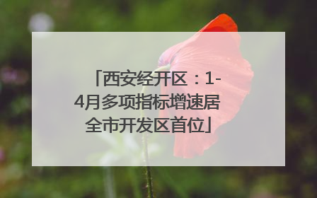 西安经开区：1-4月多项指标增速居全市开发区首位