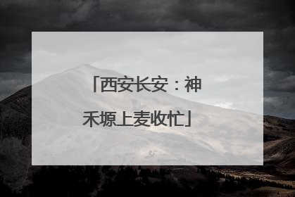 西安长安：神禾塬上麦收忙