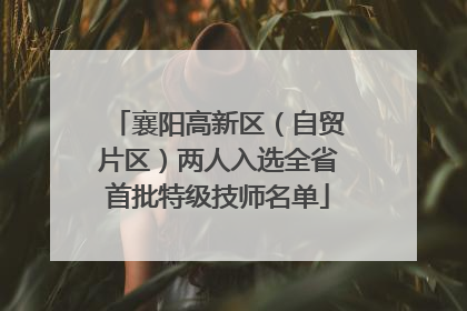 襄阳高新区（自贸片区）两人入选全省首批特级技师名单
