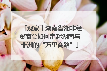 观察丨湖南省湘非经贸商会如何串起湖南与非洲的“万里商路”