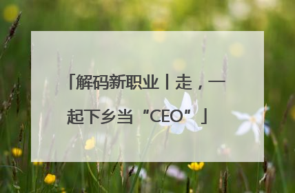 解码新职业丨走，一起下乡当“CEO”