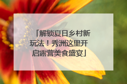 解锁夏日乡村新玩法！秀洲这里开启露营美食盛宴