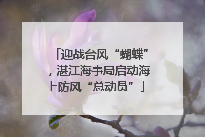迎战台风“蝴蝶”，湛江海事局启动海上防风“总动员”