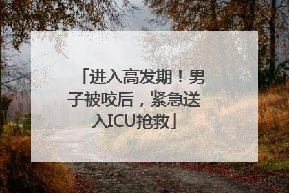 进入高发期！男子被咬后，紧急送入ICU抢救
