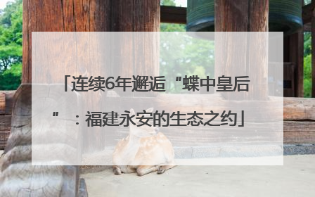 连续6年邂逅“蝶中皇后”：福建永安的生态之约