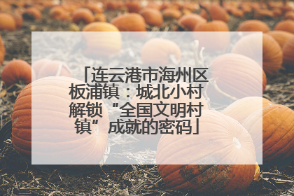 连云港市海州区板浦镇：城北小村解锁“全国文明村镇”成就的密码