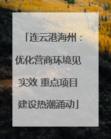 连云港海州：优化营商环境见实效 重点项目建设热潮涌动