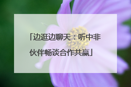 边逛边聊天：听中非伙伴畅谈合作共赢