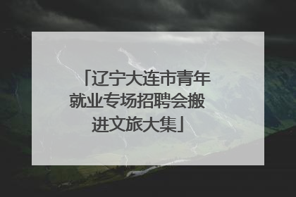 辽宁大连市青年就业专场招聘会搬进文旅大集