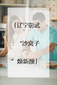 辽宁彰武：“沙窝子”焕新颜