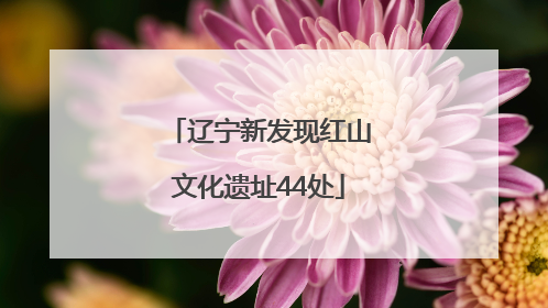 辽宁新发现红山文化遗址44处