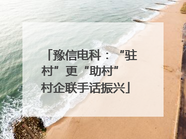 豫信电科：“驻村”更“助村” 村企联手话振兴