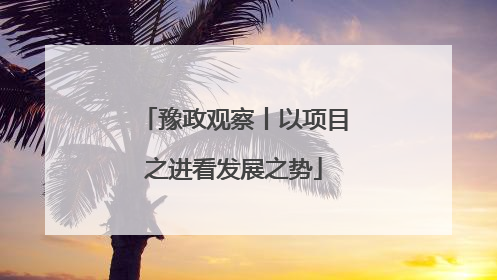 豫政观察丨以项目之进看发展之势
