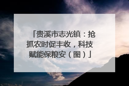 贵溪市志光镇：抢抓农时促丰收，科技赋能保粮安（图）
