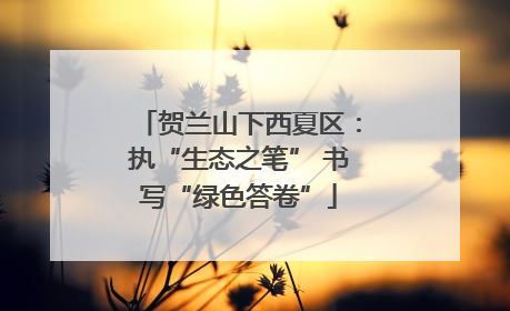 贺兰山下西夏区：执“生态之笔” 书写“绿色答卷”