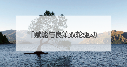 赋能与良策双轮驱动 锻造基层治理新引擎——平湖街道“作风焕新年”行动纪实
