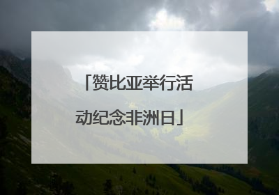 赞比亚举行活动纪念非洲日