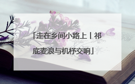 走在乡间小路上丨祁底麦浪与机杼交响