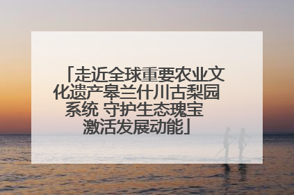 走近全球重要农业文化遗产皋兰什川古梨园系统 守护生态瑰宝 激活发展动能