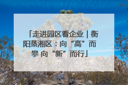 走进园区看企业｜衡阳蒸湘区：向“高”而攀 向“新”而行