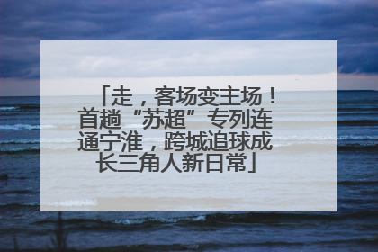 走，客场变主场！首趟“苏超”专列连通宁淮，跨城追球成长三角人新日常