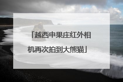 越西申果庄红外相机再次拍到大熊猫