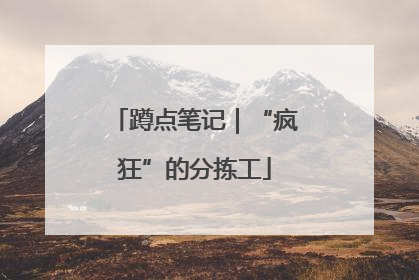 蹲点笔记｜“疯狂”的分拣工