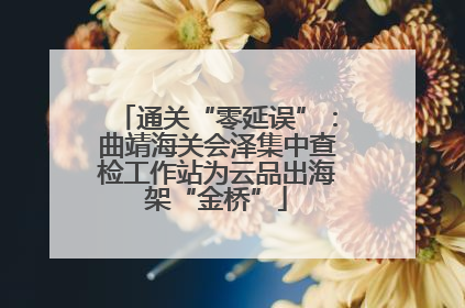 通关“零延误”：曲靖海关会泽集中查检工作站为云品出海架“金桥”