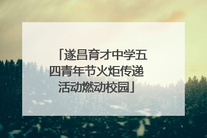 遂昌育才中学五四青年节火炬传递活动燃动校园