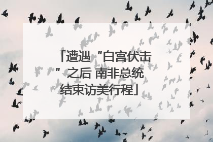 遭遇“白宫伏击”之后 南非总统结束访美行程
