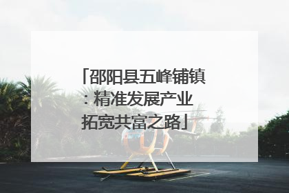 邵阳县五峰铺镇：精准发展产业 拓宽共富之路