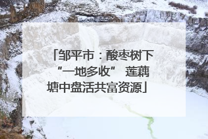 邹平市：酸枣树下“一地多收” 莲藕塘中盘活共富资源