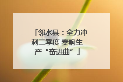 邻水县：全力冲刺二季度 奏响生产“奋进曲”