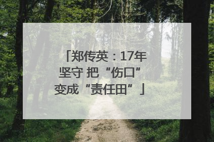 郑传英：17年坚守 把“伤口”变成“责任田”