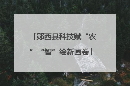 郧西县科技赋“农”“智”绘新画卷