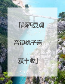 郧西县观音镇桃子喜获丰收