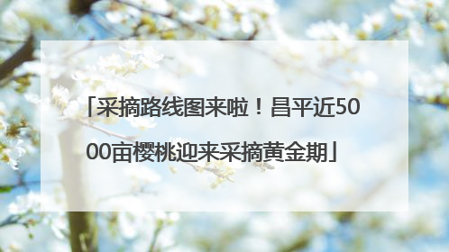 采摘路线图来啦！昌平近5000亩樱桃迎来采摘黄金期