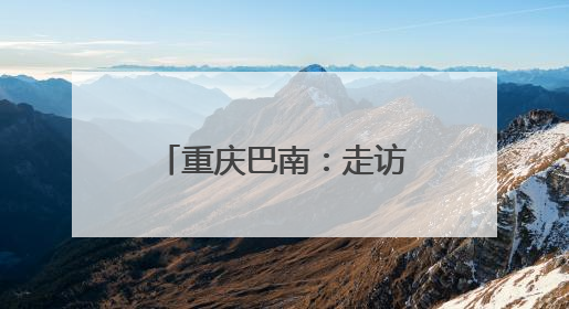 重庆巴南：走访调研听心声 助企破局谋发展