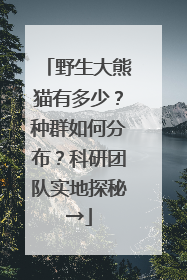 野生大熊猫有多少？种群如何分布？科研团队实地探秘→