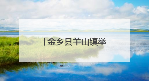 金乡县羊山镇举办促消费活动