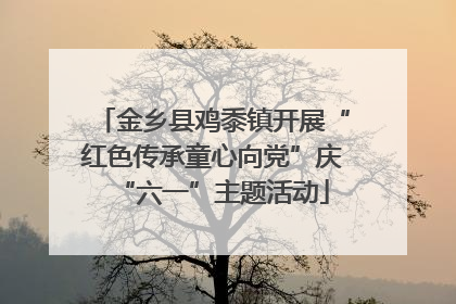 金乡县鸡黍镇开展“红色传承童心向党”庆“六一”主题活动