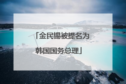 金民锡被提名为韩国国务总理