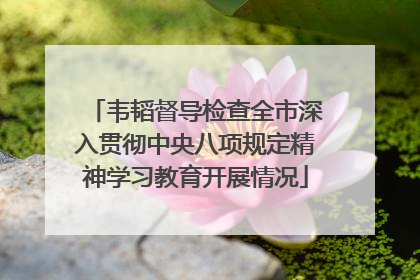 韦韬督导检查全市深入贯彻中央八项规定精神学习教育开展情况