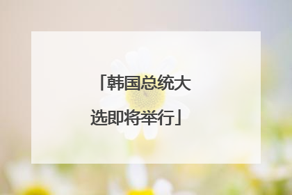 韩国总统大选即将举行