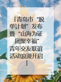 青岛市“脱单计划”发布暨“山海为证 团聚幸福”青年交友联谊活动浪漫开启
