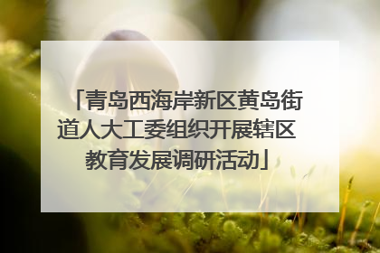 青岛西海岸新区黄岛街道人大工委组织开展辖区教育发展调研活动