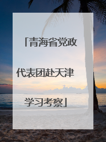 青海省党政代表团赴天津学习考察