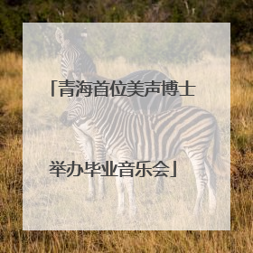 青海首位美声博士举办毕业音乐会